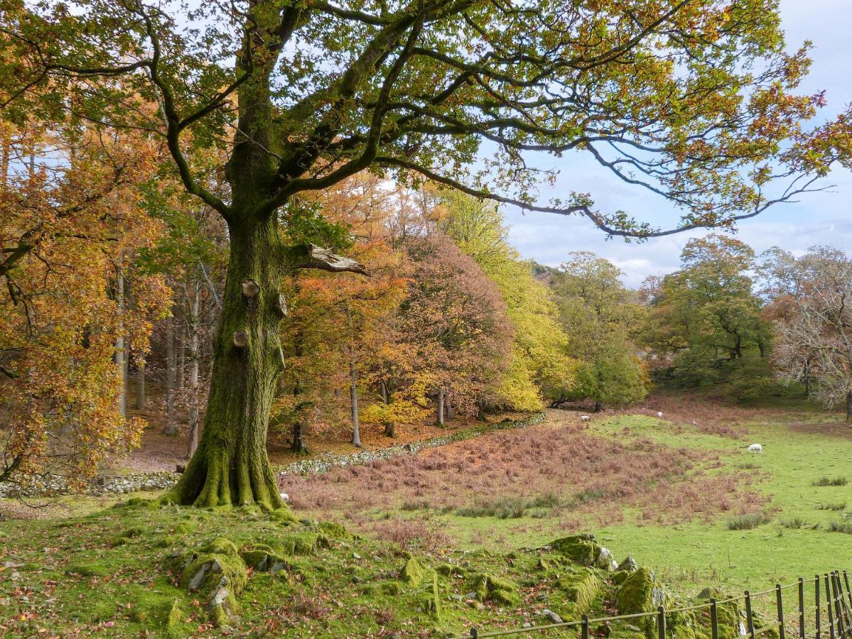 Yew - Woodland Cottages Bowness-on-Windermere Extérieur photo